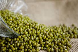 20g italiana Chick semi di pisello ~ 60 semi di ceci ~ High Protein leguminose ~ Hummus