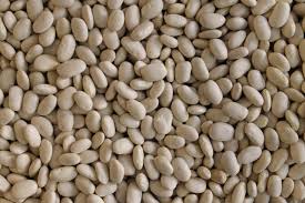 20g italiana Chick semi di pisello ~ 60 semi di ceci ~ High Protein leguminose ~ Hummus